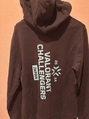 VALORANT CHALLENGERS 2024 후디