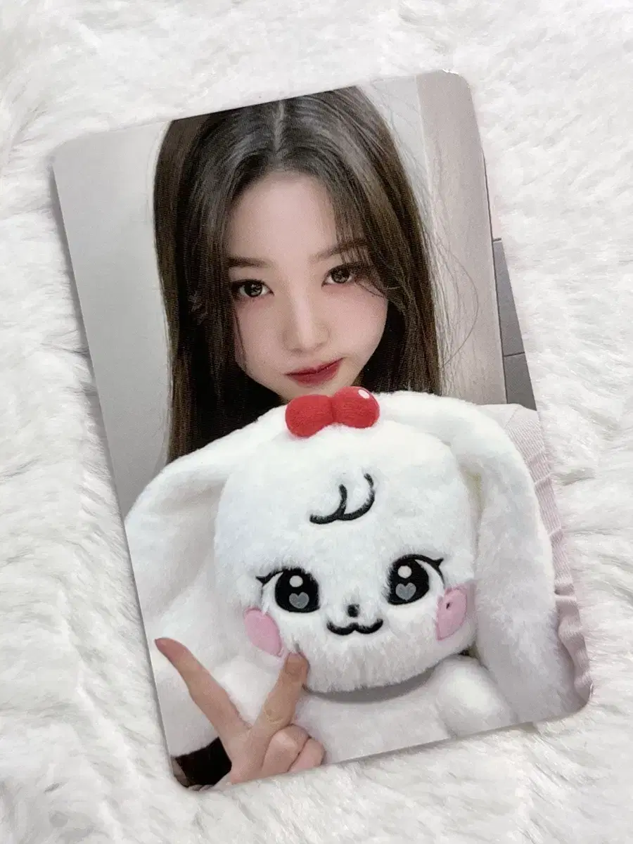 아이브 미니브 스쿨 팝업스토어 플러피 플러시 30cm 체리 원영 포카