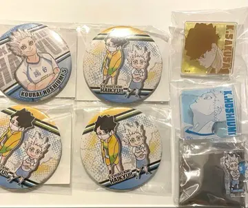 하이큐 전시회 호시미 사쿠하 캔뱃지 아크릴 배지 아크릴 미니 피규어