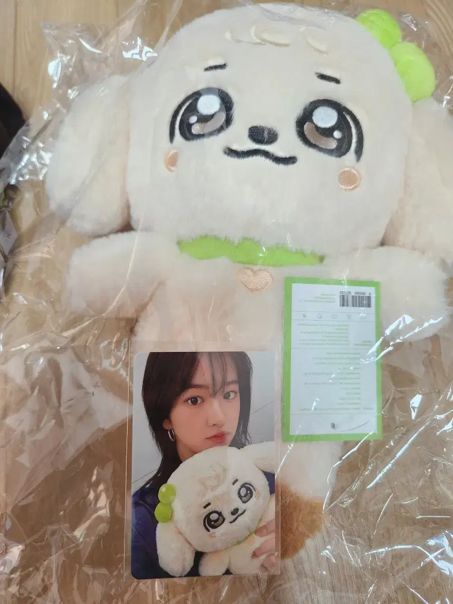 (최저가)아이브 미니브 30cm 인형 유진 강안지 인형 특전 포카 포함