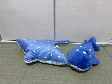 징베, 가오리 봉제 인형 가고시마 수족관