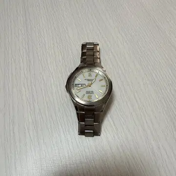 CITIZEN ATTESA Eco-Drive 실버 손목시계