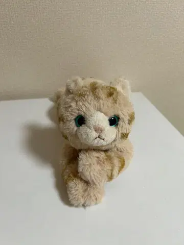 무릎 고양이 봉제 인형 S 사이즈 선 레몬 브라운 고양이