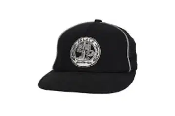 팔라스 스케이트보드 AMG 캡 팔라스 메르세데스