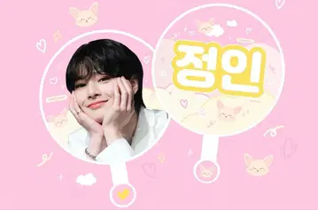 straykids 스키즈 BIG 부채 아이엔 정인