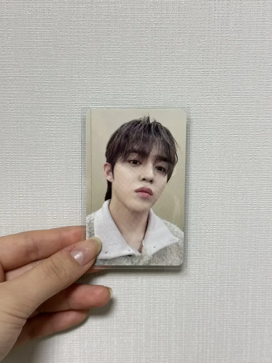 세븐틴 잠수교 스탬프투어 포카 에스쿱스 양도