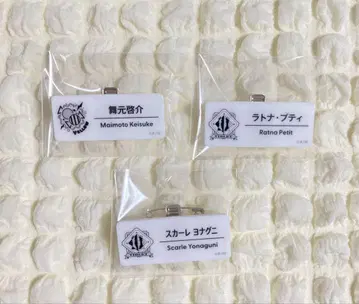 니지산지 네임 배지
