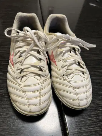 Mizuno 트레이닝 슈즈 화이트/레드 22.5