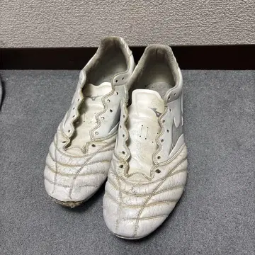모나르시다 NEO 26.5