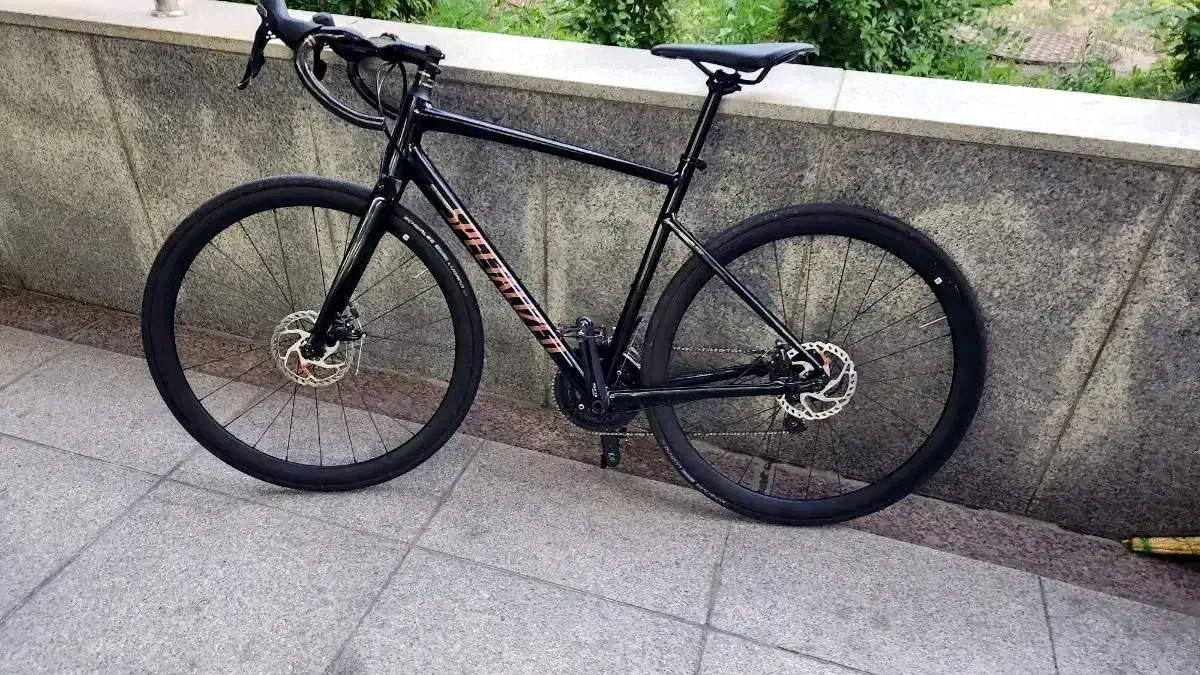 Specialized Allez Sport, 2024 model.