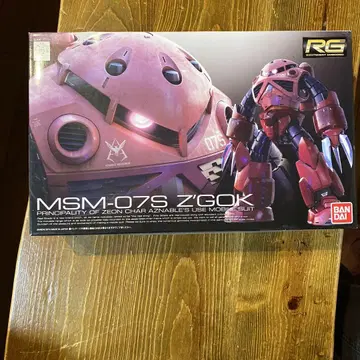 건담 프라모델 RG MSM-07S Z'GOK