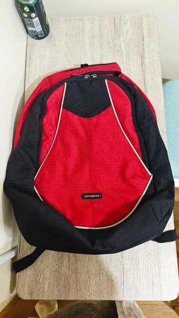 SAMSONITE 백팩 WANDER SPL