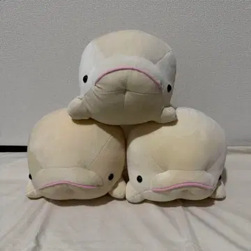 핫케이지마 씨 파라다이스 시로이루카 4등 봉제 인형