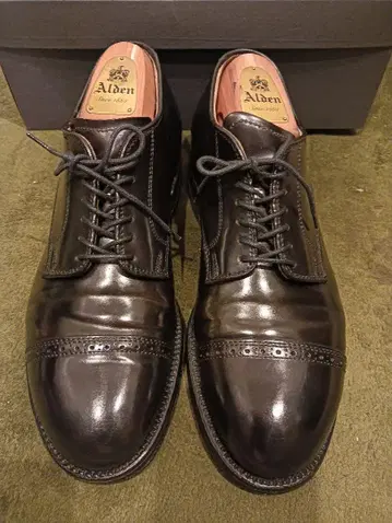알든 Alden 56251 코도반 블랙 캡토