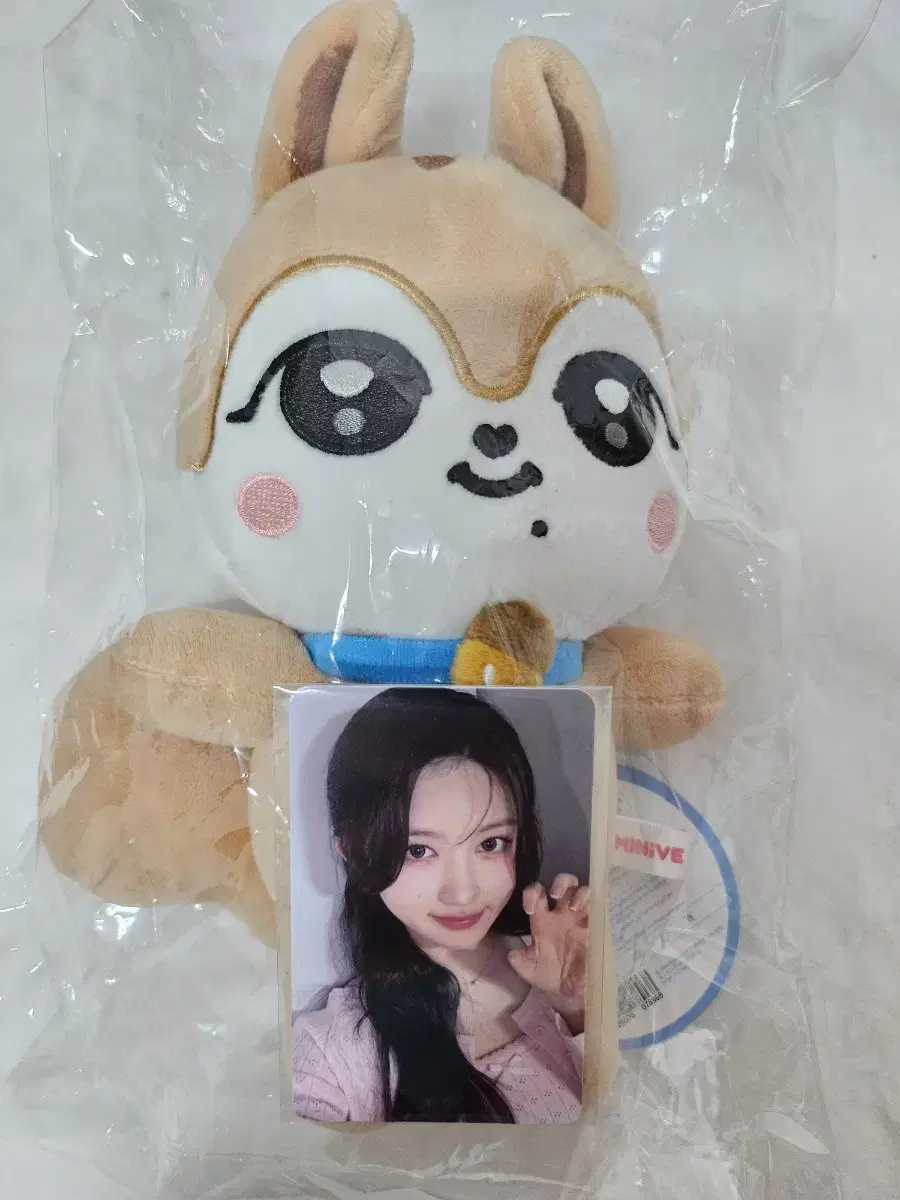 미니브팝업스쿨 가을(달이)12cm+7만특전(가을)