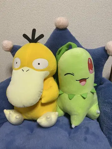 포켓몬 메차모후구토 봉제 인형 코닥과 치코리타 세트
