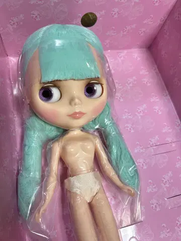 미사용 플라워 걸 오브 해피니스 인형 본체만 네오 브라이스
