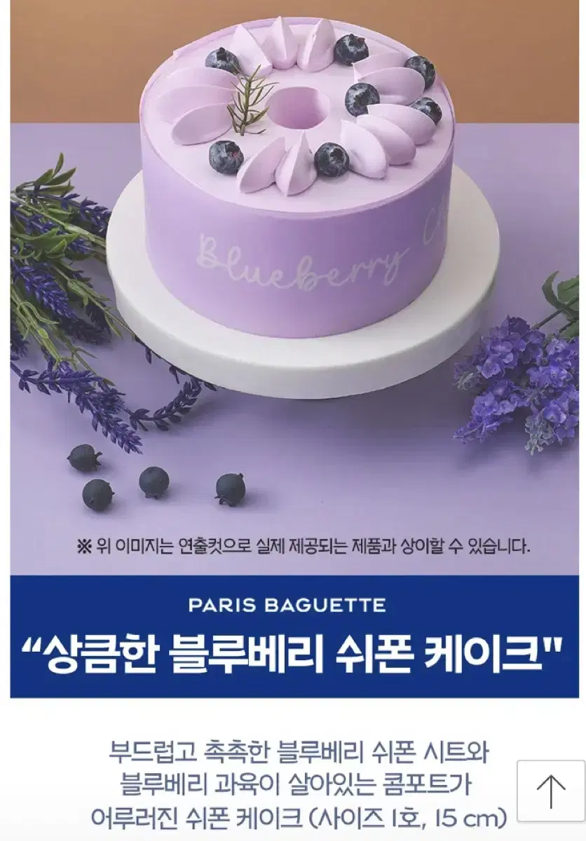 Paris Baguette Refreshing Blueberry Chiffon Cake (Delivery Available)