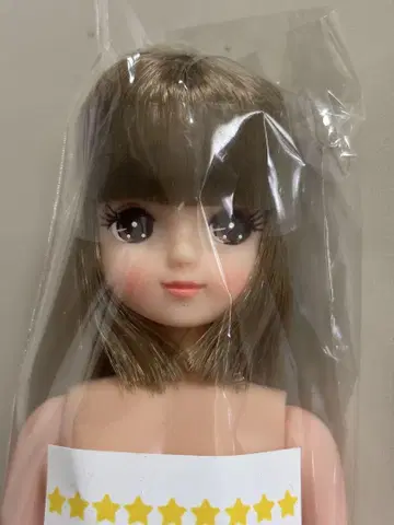 미개봉 새상품 리카짱 캐슬 오타노시미 인형 키라짱 밥 오타노시미