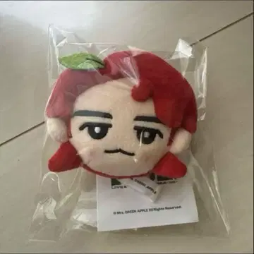 Mrs. GREEN APPLE 와카이 코토 마스코트 키링