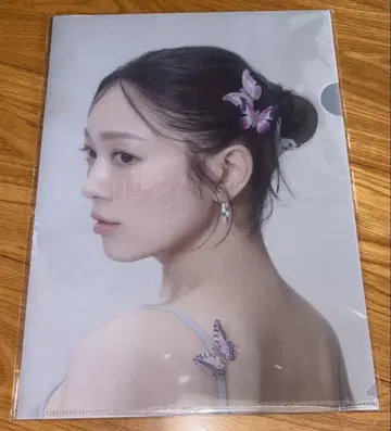 니시노 카나 클리어 파일
