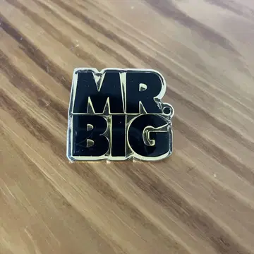 MR.BIG 핀 배지