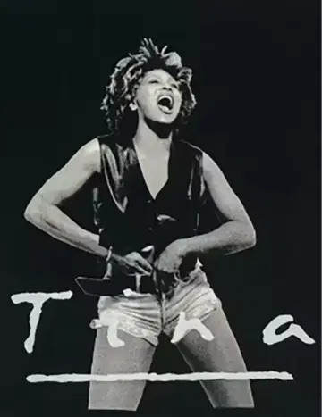 티나 터너 티셔츠 Tina Turner R&B 블랙 서울