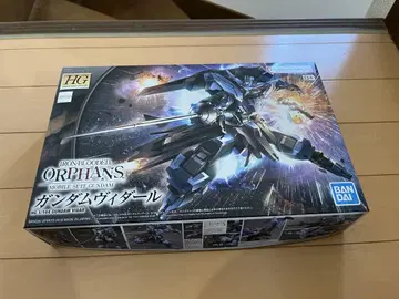 HG 1/144 건담 비달