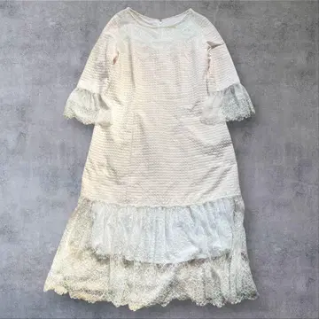 zin kato 사람 튤 레이스 도트 자수가 멋진 원피스