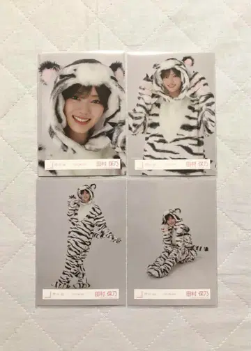 사쿠라자카46 타무라 호노 동물 인형옷 4종 컴프