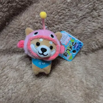 여행하는 작은 콩 앙코우