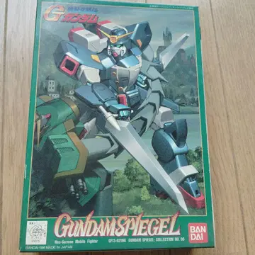 GUNDAM SPIEGEL 1/144 C-06