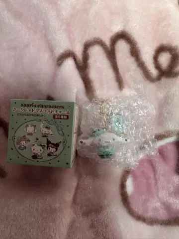 초코 민트 시크릿 마스코트 참 시나모롤