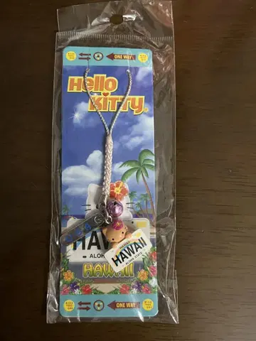 지역 키티 하와이 번호판 스트랩 키링 레어