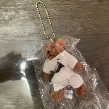 가라테 곰 키링