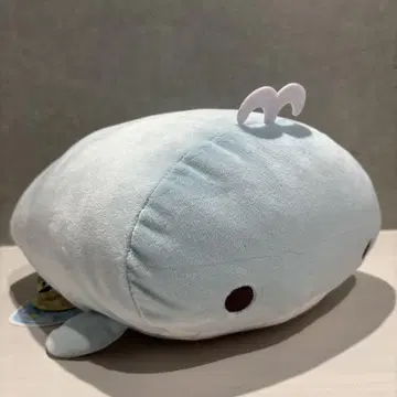 고래 봉제 인형 쫄깃쫄깃 폭신폭신