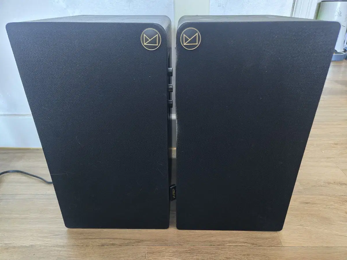 Canston R50 Speaker
