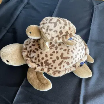 거북이와 새끼 거북이 봉제 인형 세트