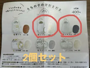 우리 아이의 케다마다마 하치와레, 샴 가챠 미사용 새상품