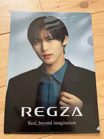 REGZA 클리어 파일 메구로 렌