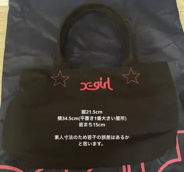 신상품 미사용 엑스걸 백