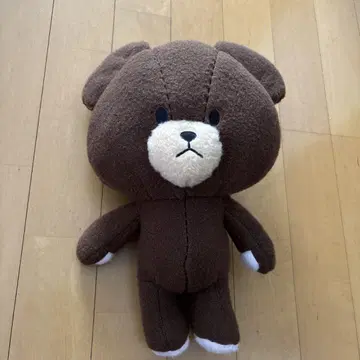 브라운 곰 봉제 인형 베어 스쿨