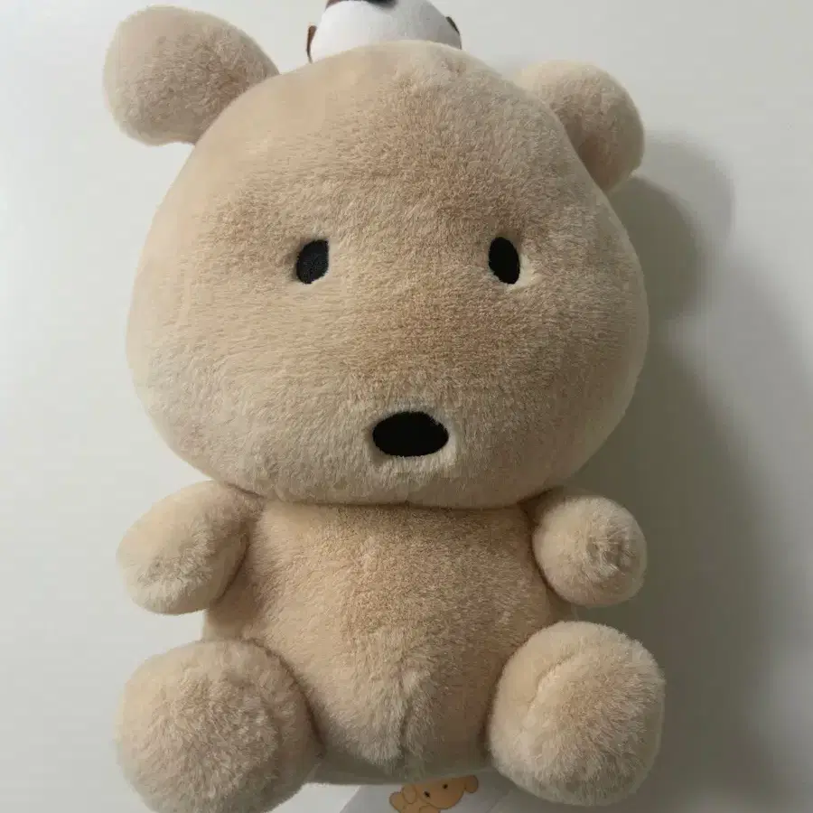 깜자인형 인형뽑기