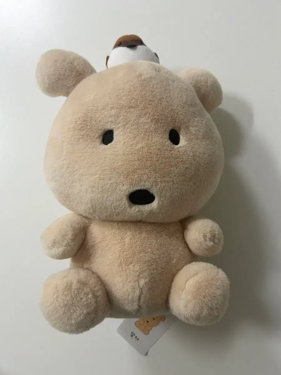 깜자인형 인형뽑기