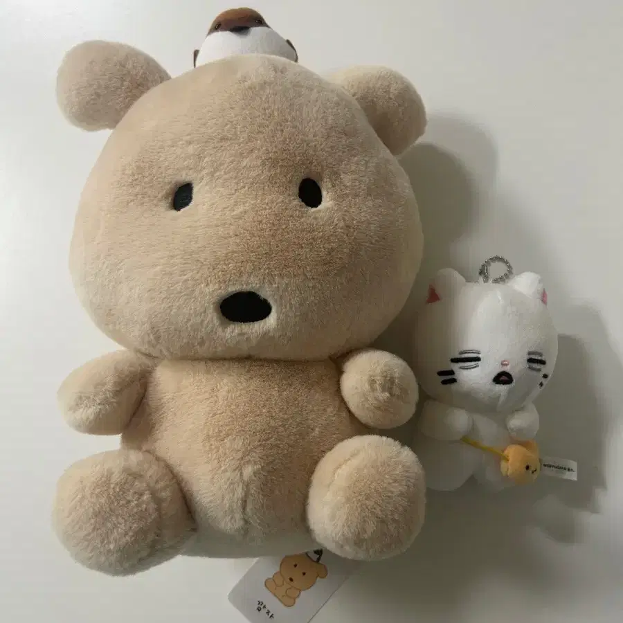 깜자인형 인형뽑기