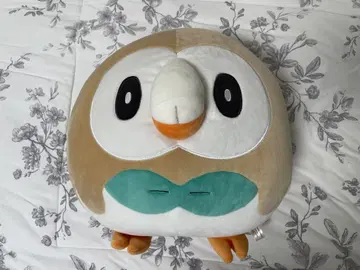 포켓몬 모코로 봉제 인형 쫄깃쫄깃