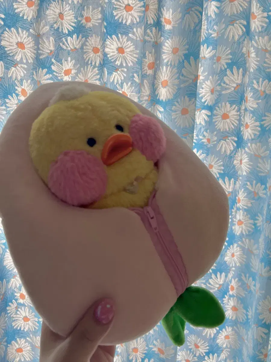 Bbangbbangduck Full Set + Peach + Suspenders