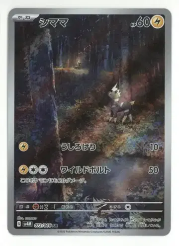 Pokemon SV4M 072/066 시마마 AR