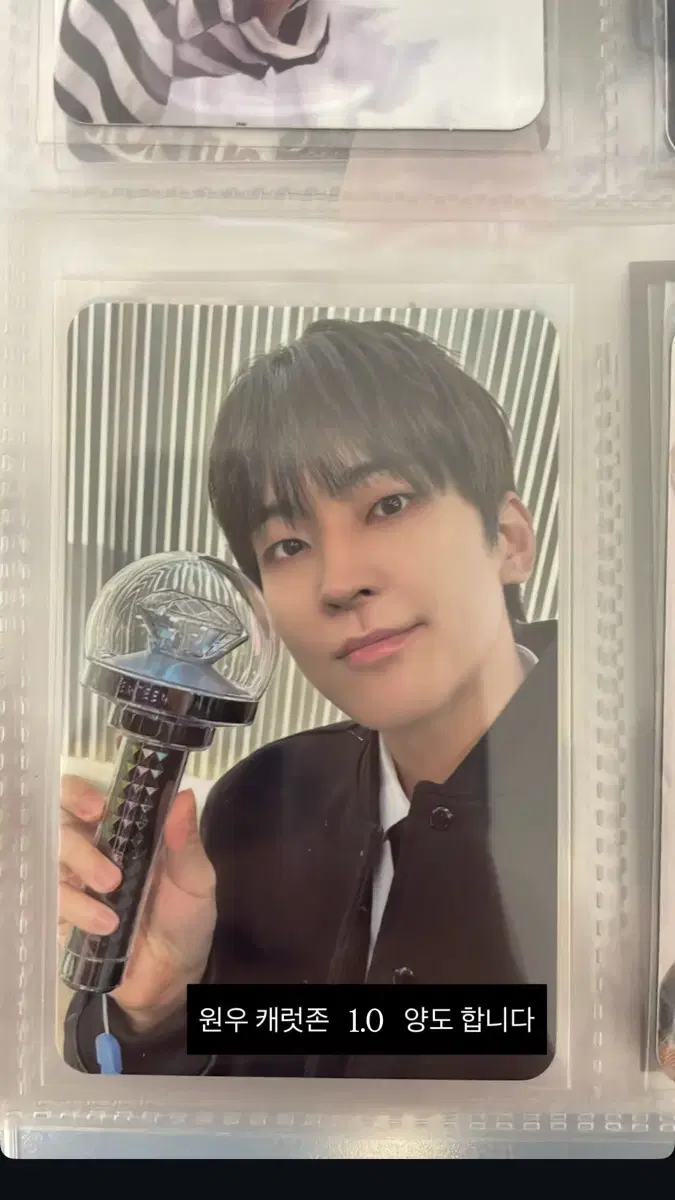 원우 캐럿존 엄청 싸게 판매합니다