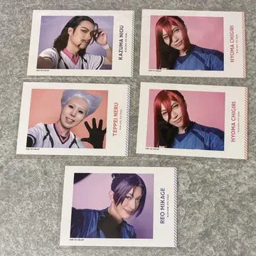 부루스테 셀카풍 트레이딩 카드 니오 치키 레오 오토루